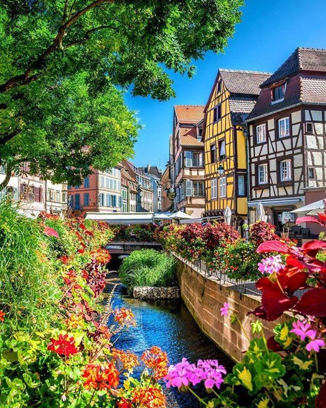Chez Alice Lägenhet Colmar Exteriör bild